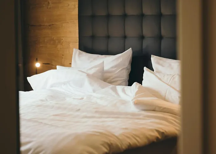 公寓式酒店 Remind Apartements Brixental